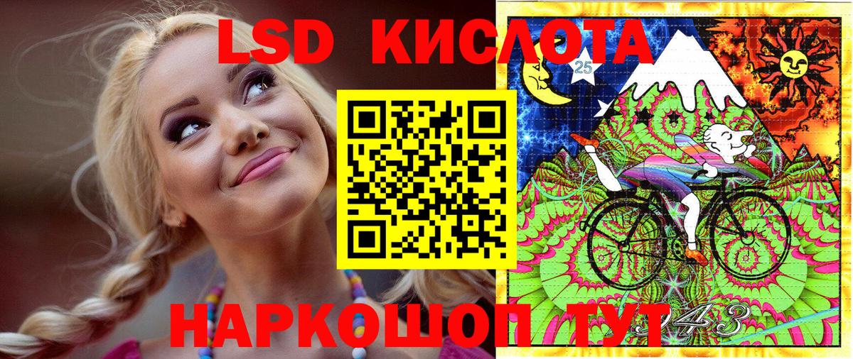 Наркотические марки 1500мкг  Наркотические марки 1500мкг  Вход с VPN  Камышлов 